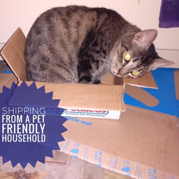 Meet your Posher, Riva Sue - Picture 9 of 13